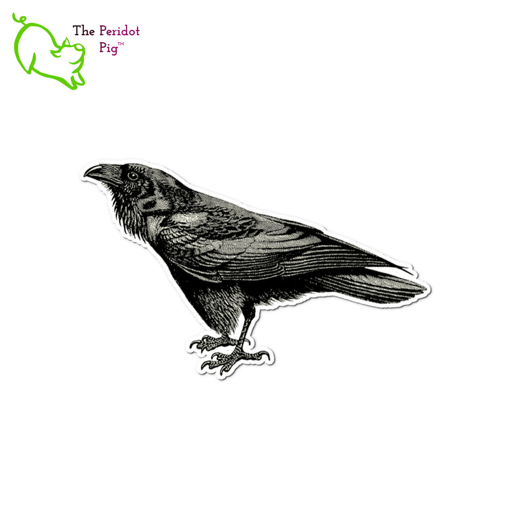 These raven stickers are made from a printable vinyl with a top coating of outdoor 5-year rated gloss vinyl. Each sticker measures approximately 4" wide by 3" tall. Single sticker shown.