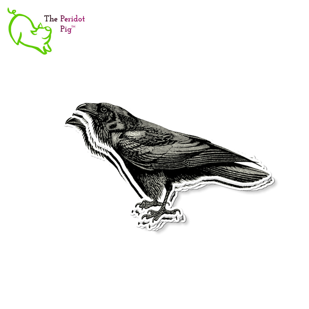 These raven stickers are made from a printable vinyl with a top coating of outdoor 5-year rated gloss vinyl. Each sticker measures approximately 4" wide by 3" tall. Stack of 10 stickers shown.