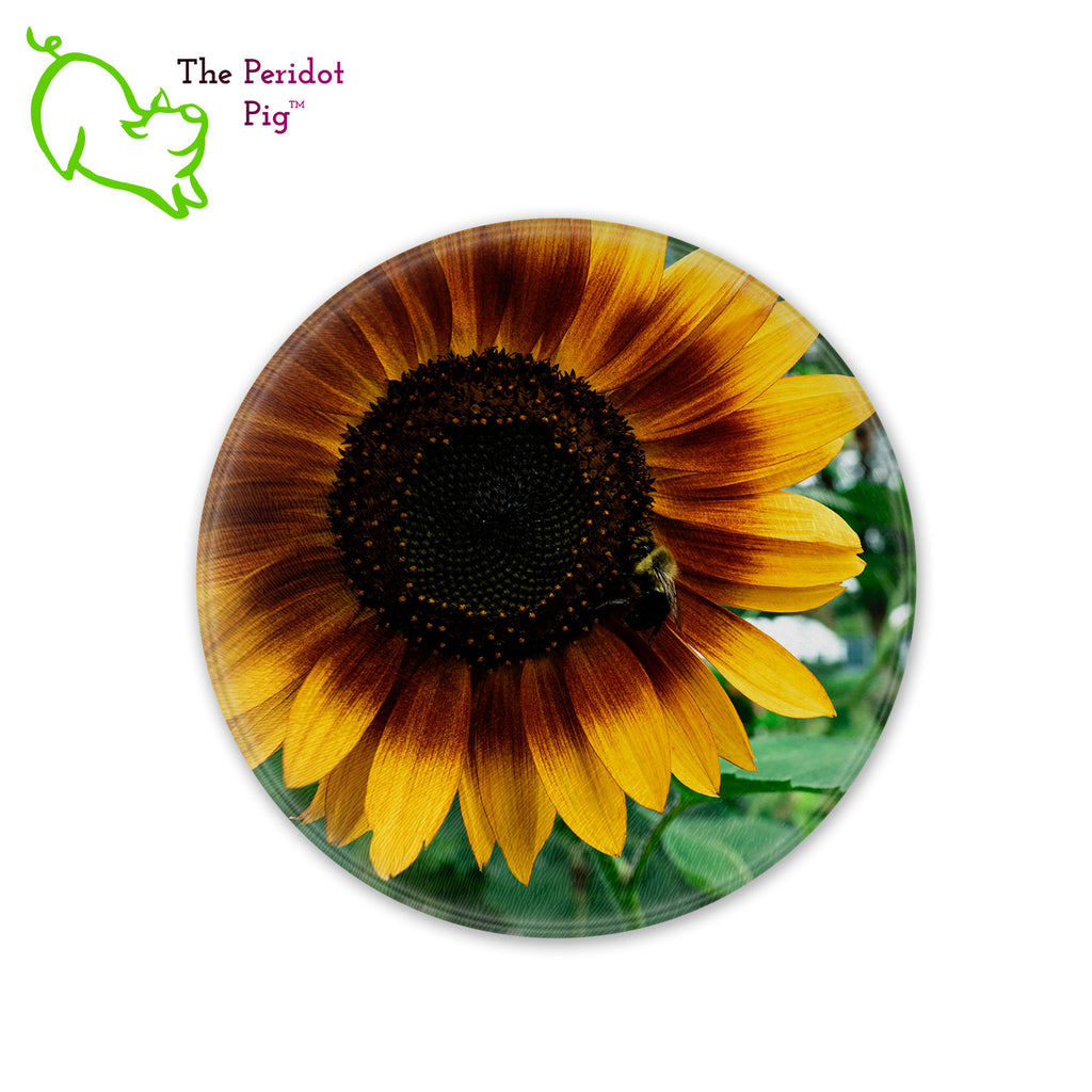 This beautiful tempered glass cutting board is a wonderful keepsake!  This one features a bright yellow sunflower with a cute little honey bee in a vivid and detailed print. Perfect for cutting or using as a serving board! Front view without hightlights.
