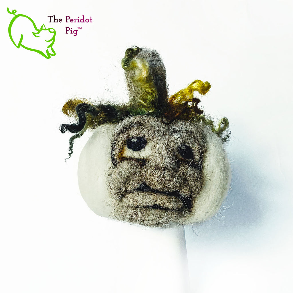 Just in time for the Halloween season, we're offering these one-of-a-kind pumpkins. We call them PolterPumpkins due to their ghostly, grotesque inspired faces. Each one is unique and hand-made from needle felted 100% wool. The pumpkin measures about 4-5" wide and around 4-5" tall. The body is crafted in white wool with the face in a stony gray. Multi-color locks simulate a little vine growth at the top. Front view - Fred.